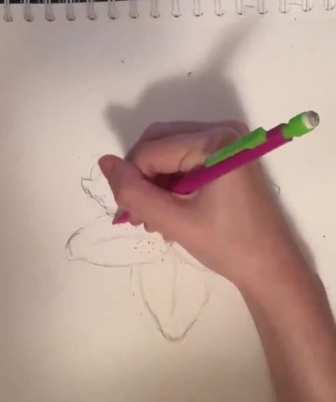 Drawing whatever kind of flower