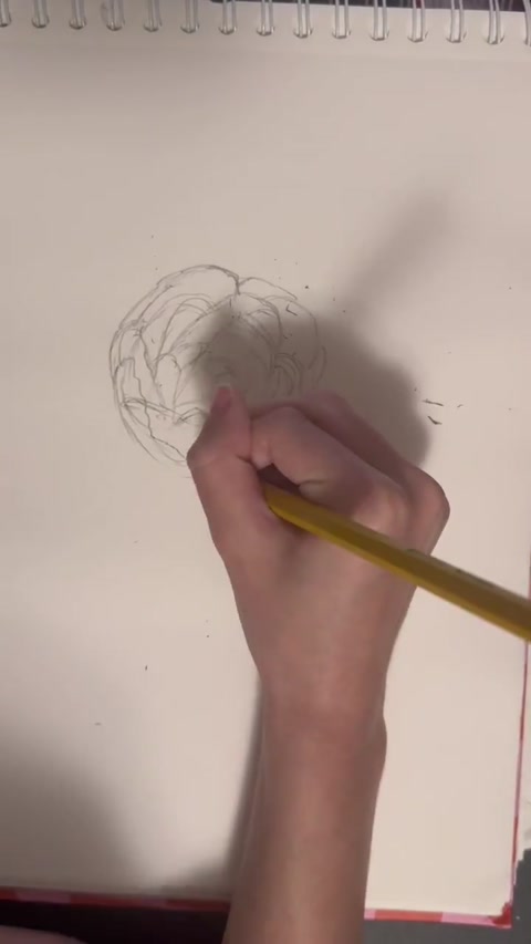Drawing a Ranunculas
