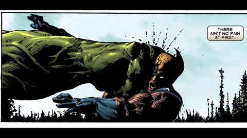 WOLVERINE Meets HULK(COMIC DUB)