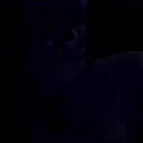 ø