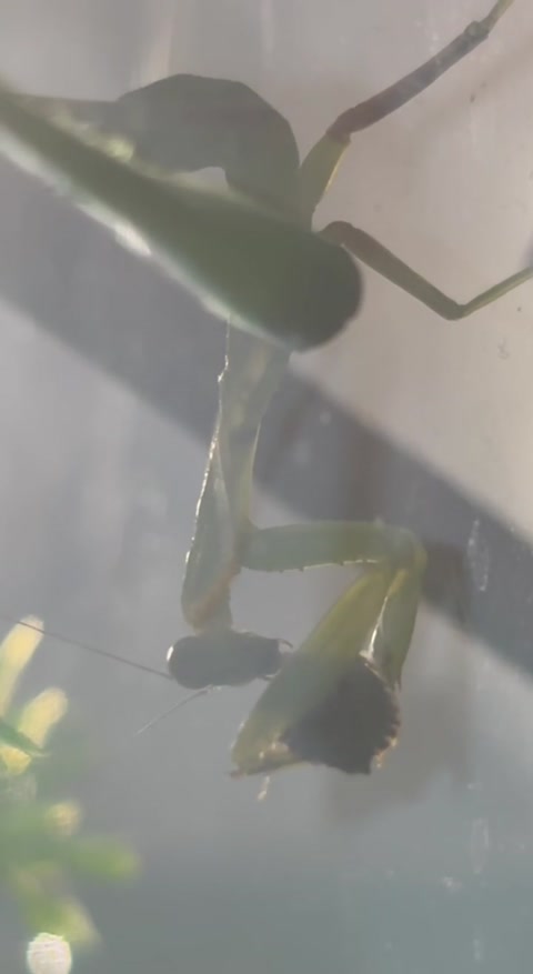 Meal time