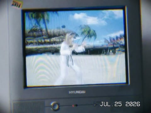 Dead or Alive 3 CPU's fighting eachother