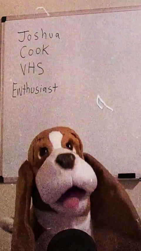 Joshua cook VHS King