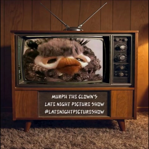 Murph the Clown Show