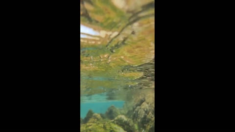 poorly shot underwater video