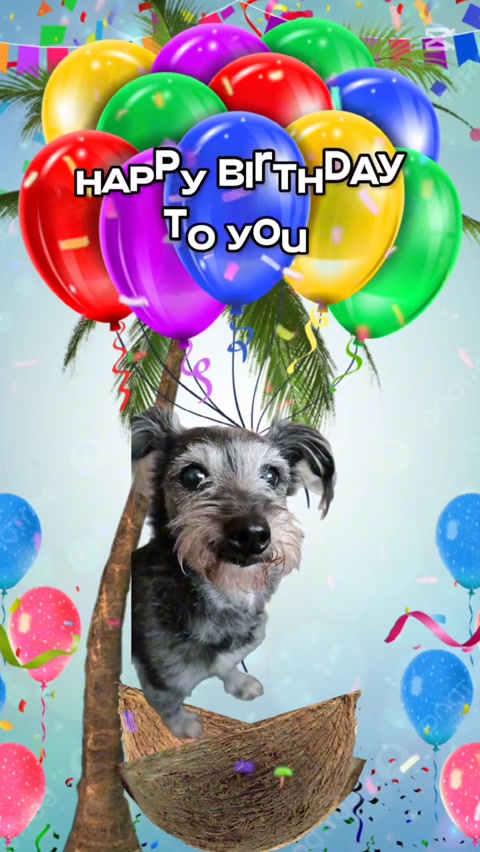 Happy birthday to my dog Polly