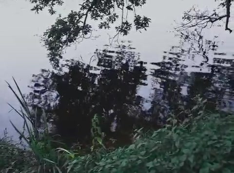 day by the lake -o-