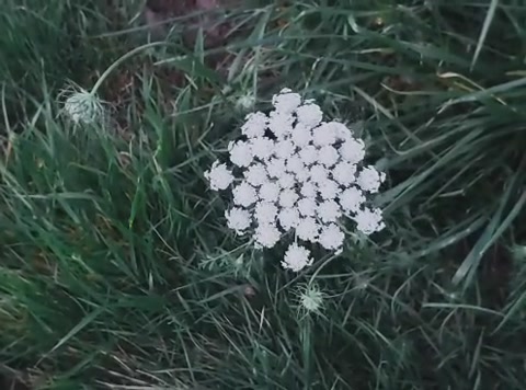 pretty