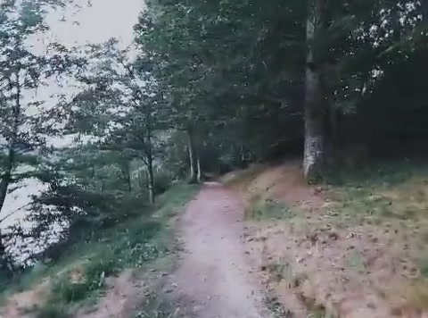 went for a walk !!