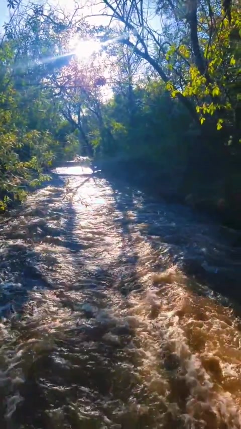 where my mind goes