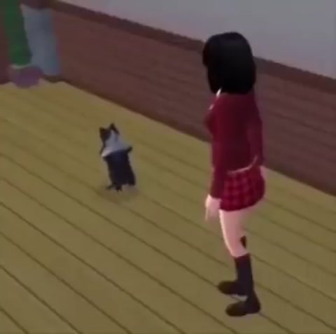 cat breakdancing