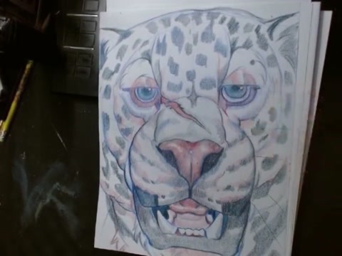 Jaguar Sketch