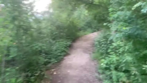 Hiking #3