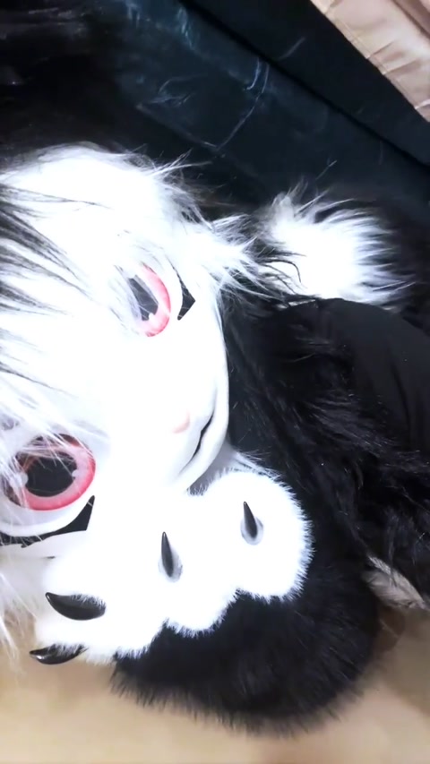 EW FURRY >~<