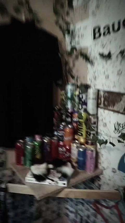 Room tour cuz why not?