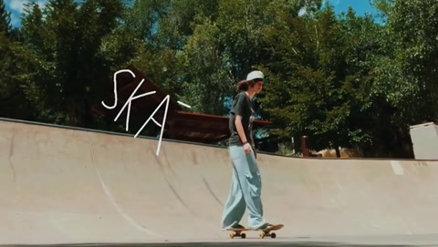 skate ⋆˚꩜｡