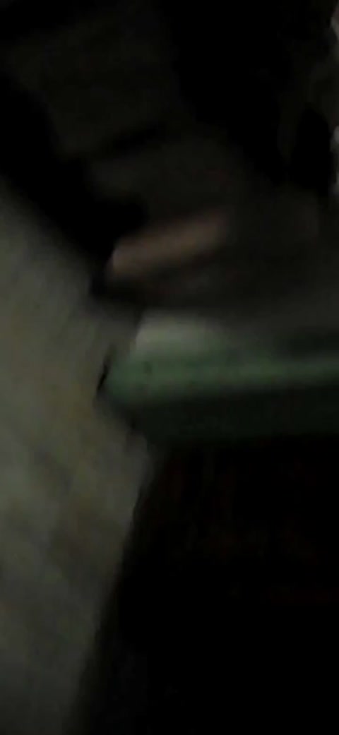 Found footage:Bug