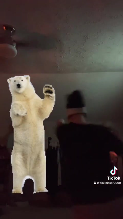 Me fighting a bear (real)