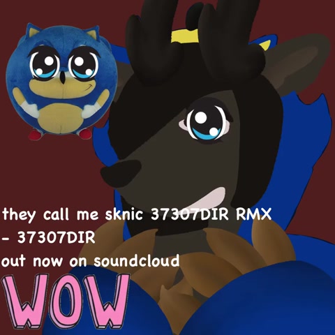 they call me sonic 37307DIR rmx