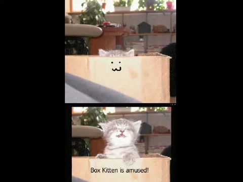 adorable_kittens swf