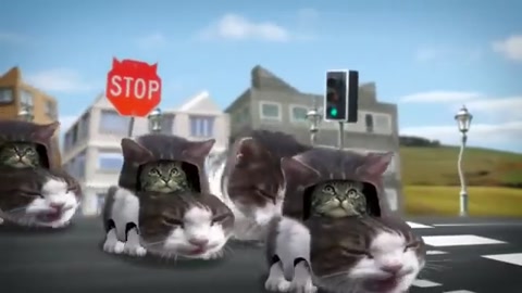 Welcome to kitty city