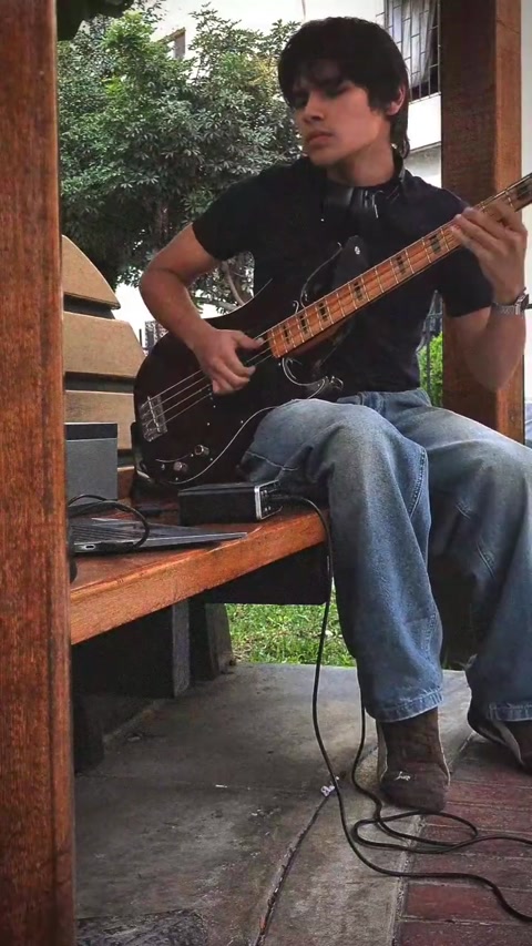 NAFTA - Quiero Verte (bass cover)