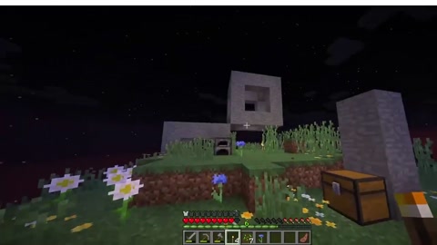 Weird structure in my Minecraft world