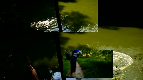 swim hole 8/15/26