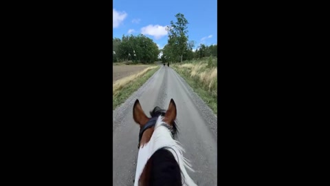 She's not fast, but she's steady!