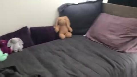 room tour