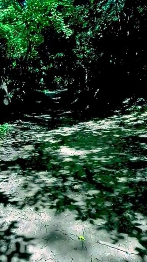 Touching grass