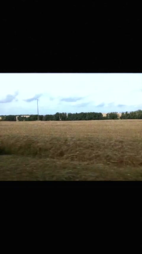 Long wide fields