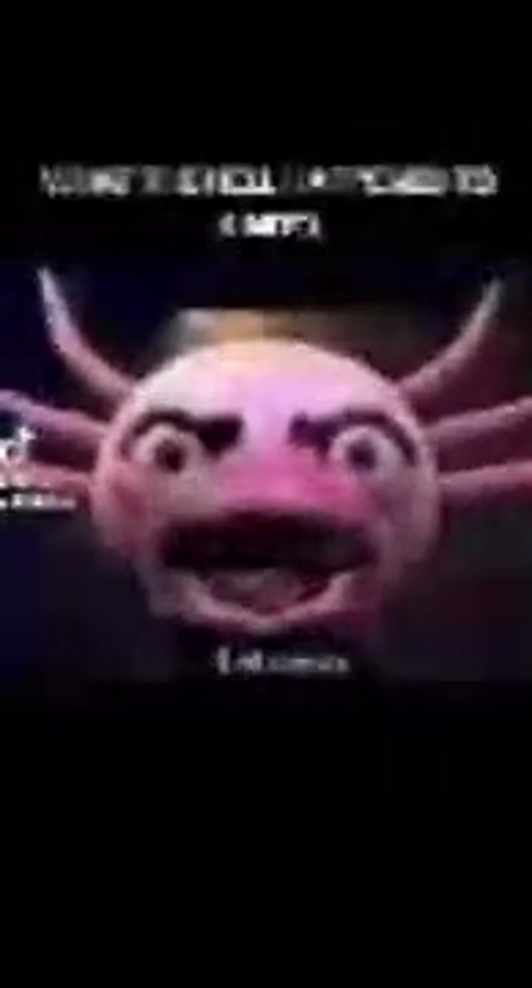 let me in