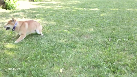 Wow. Such spin. Very dizy. Much rotation.