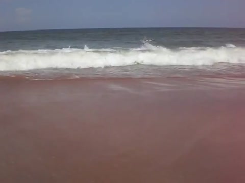 Waves of Daytona