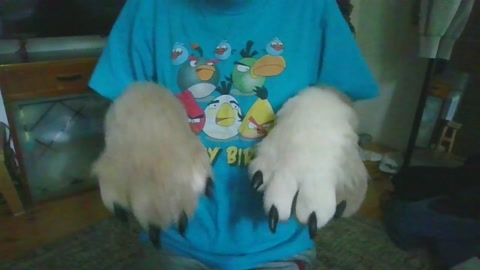 paws