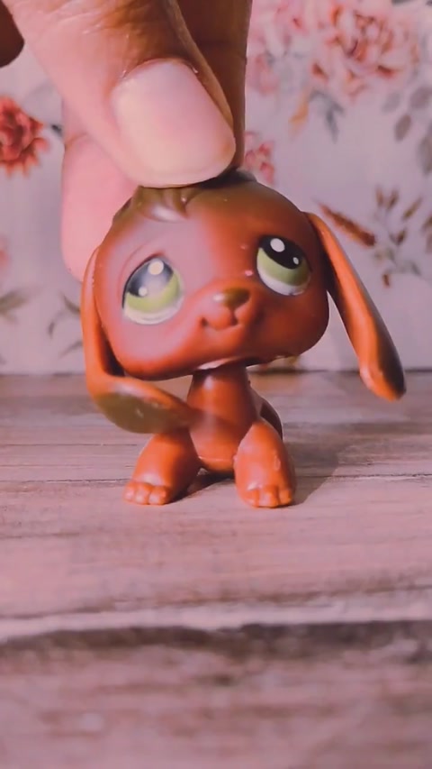 LPS Collection Vid (Gifts from Gf)