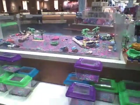 hermit crabs inside of dead mall