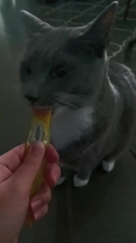 MY KITTAY!! ^^