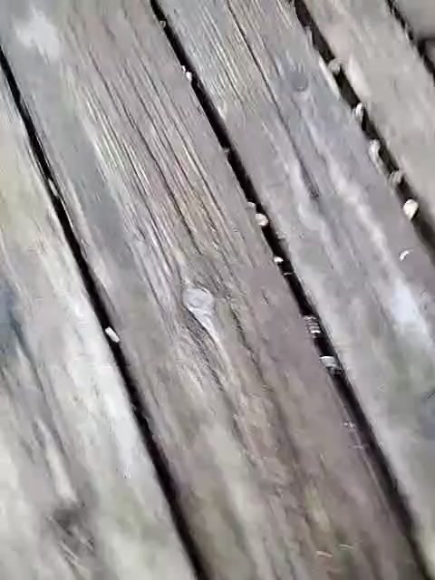 My recording