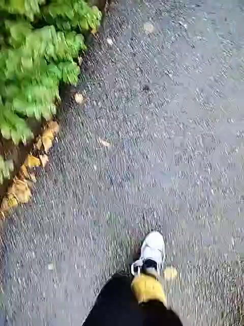 My recording