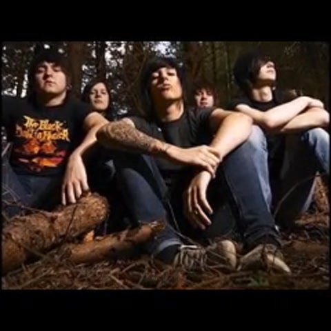 RE they have no reflections cover BMTH