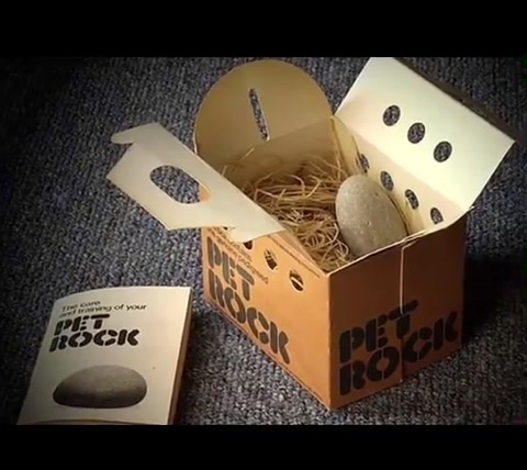 pet rock tribute