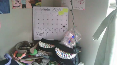 room tour blehhh