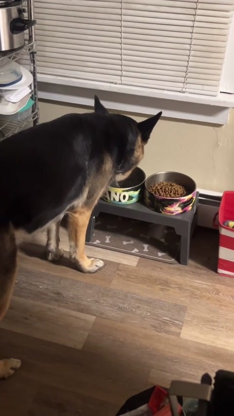 Kano drinking water loud as hell