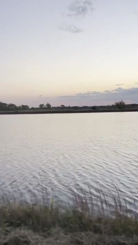 I took a walk today