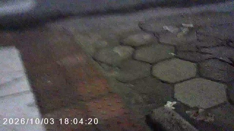 going out with friends