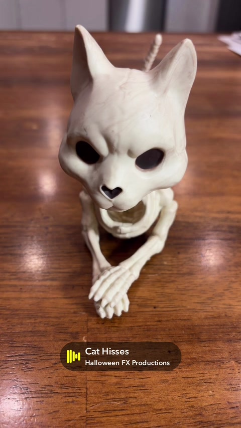Skellycat
