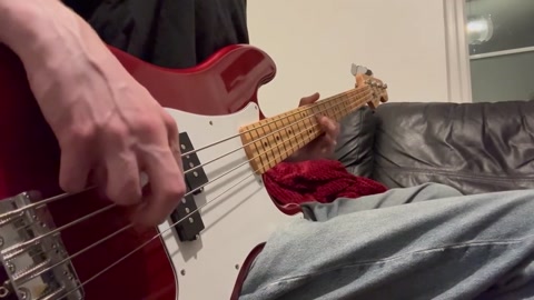 Silverstien Bass Cover