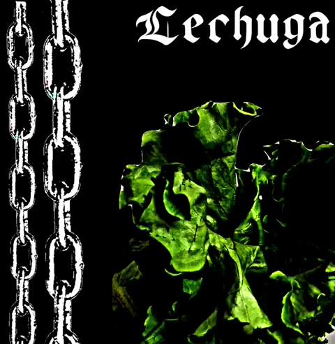 Lechuga (guitar only demo)